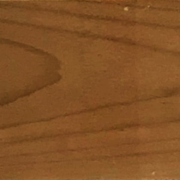 Beech wood species — unfinished face grain swatch