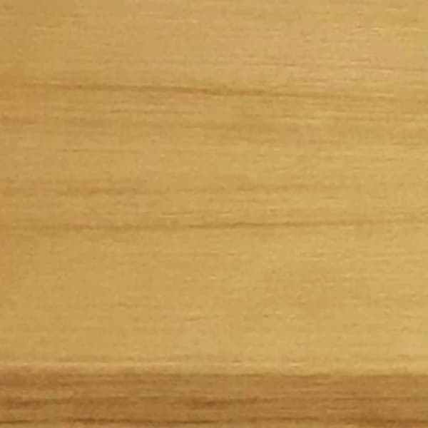 Pecan wood species — unfinished face grain swatch