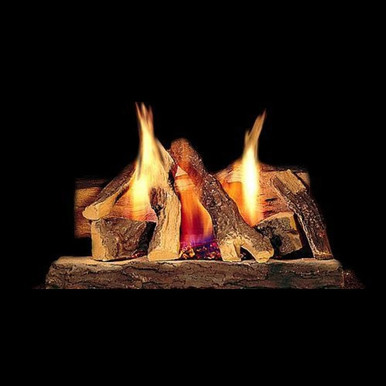 Hearth & Home Technologies Campfire 30" Gas Log Set