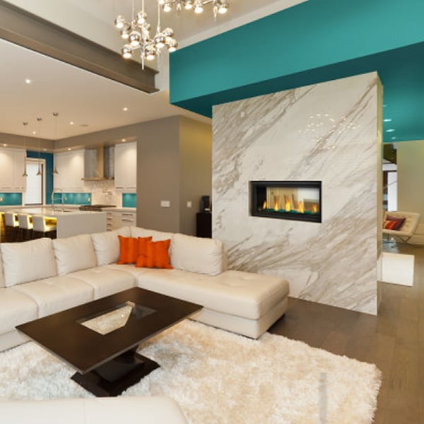 Napoleon LV38N2 Gas Fireplace